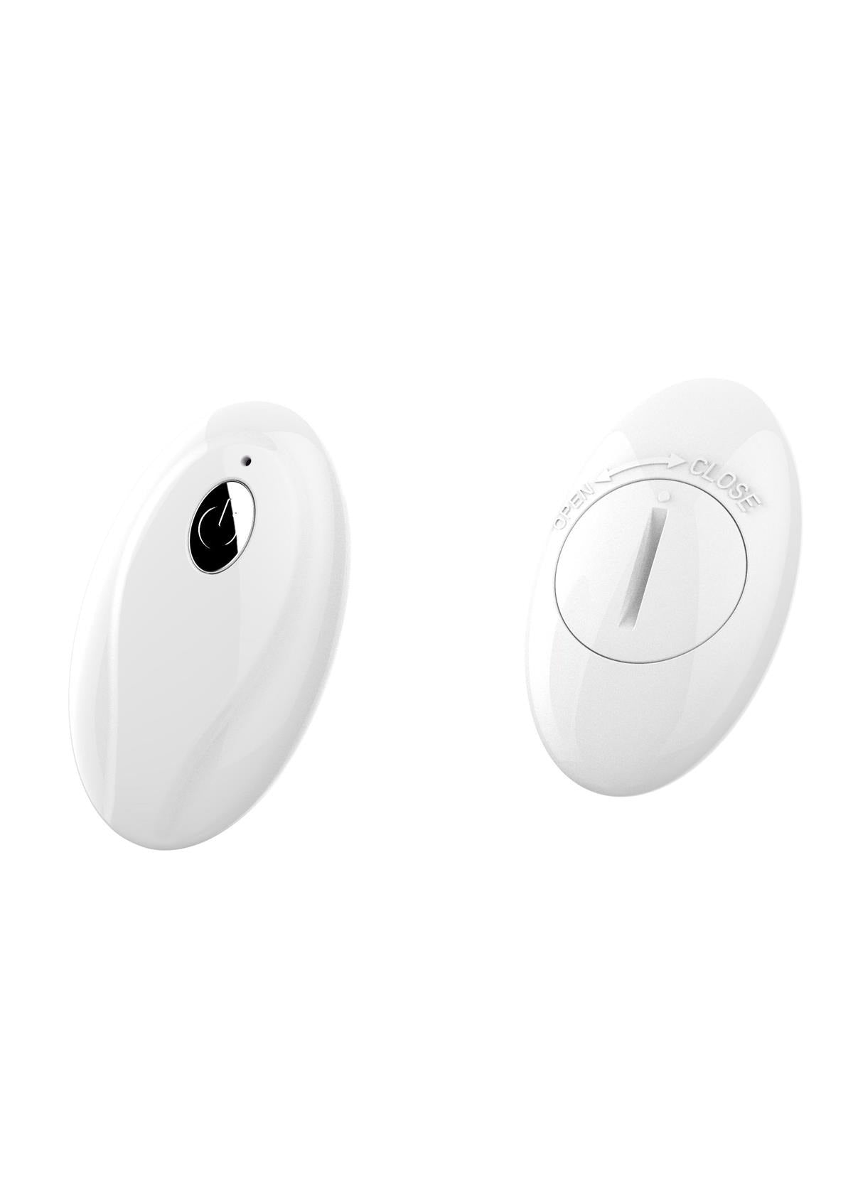 Bossoftoys - 22-00025 - Vibrating Kegel Balls - Silione - total length 8 cm - dia 3/3,5 cm - 10 function Remote Control - Rechargeable- colour windowbox
