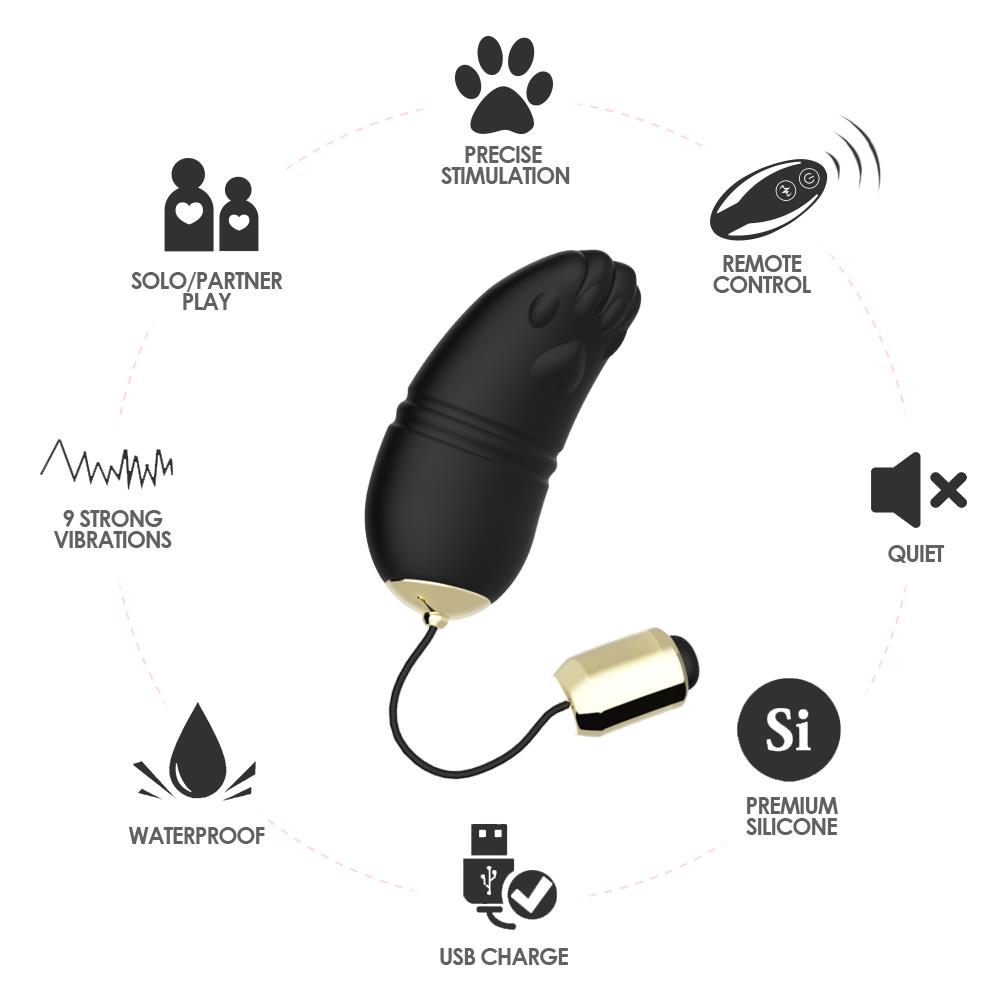 Bossoftoys - 52-00001 - Remoted controll egg - 9 Function USB - Kitty Black