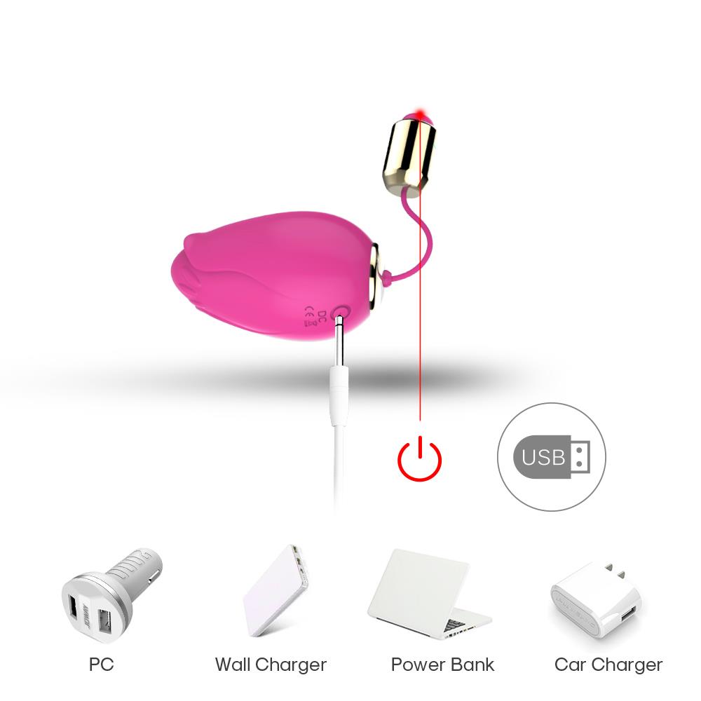 Bossoftoys - 52-00002 - Remoted controll egg - 9 Function USB - Mandala Pink