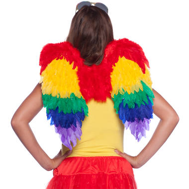 Kinky Pleasure - FT025 - PRIDE - Angel Wings Rainbow - 60cm