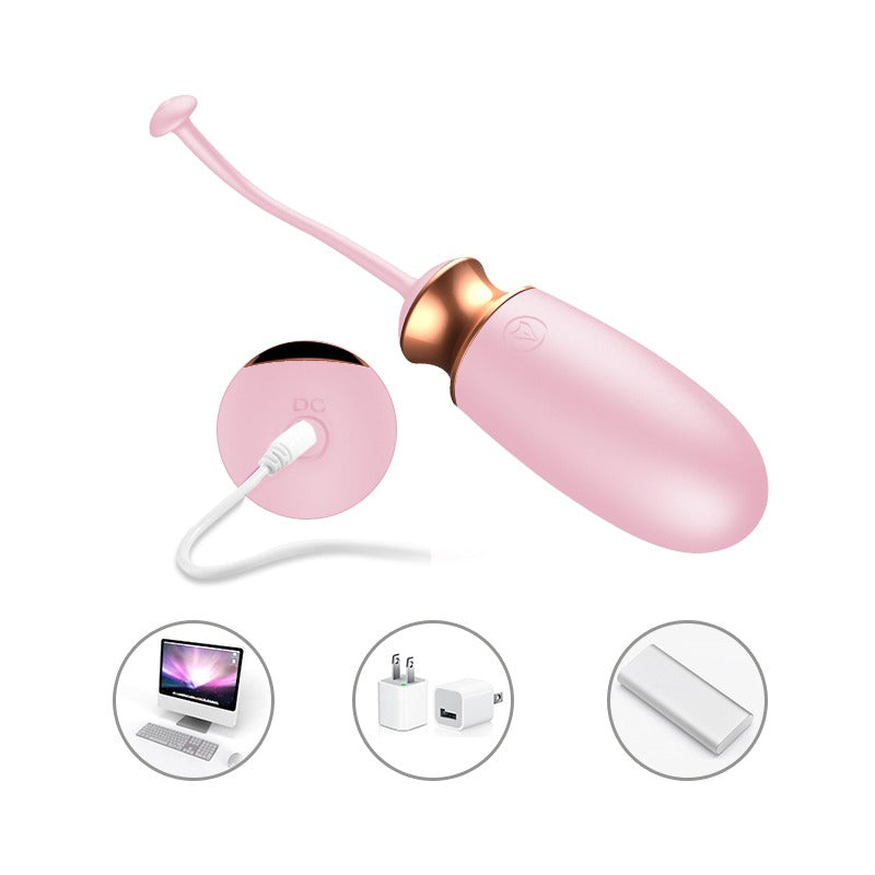 Foxshow Vibrating silicone Love egg Remote control - Rechargeable - Pink - 10 function - Voice Control - Colour box - 63-00037