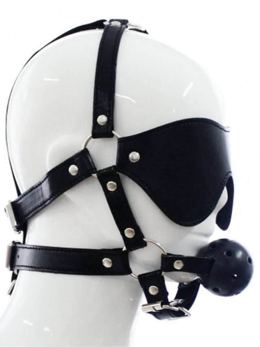 Argus Ball Gag With Eye Mask - AF 001010