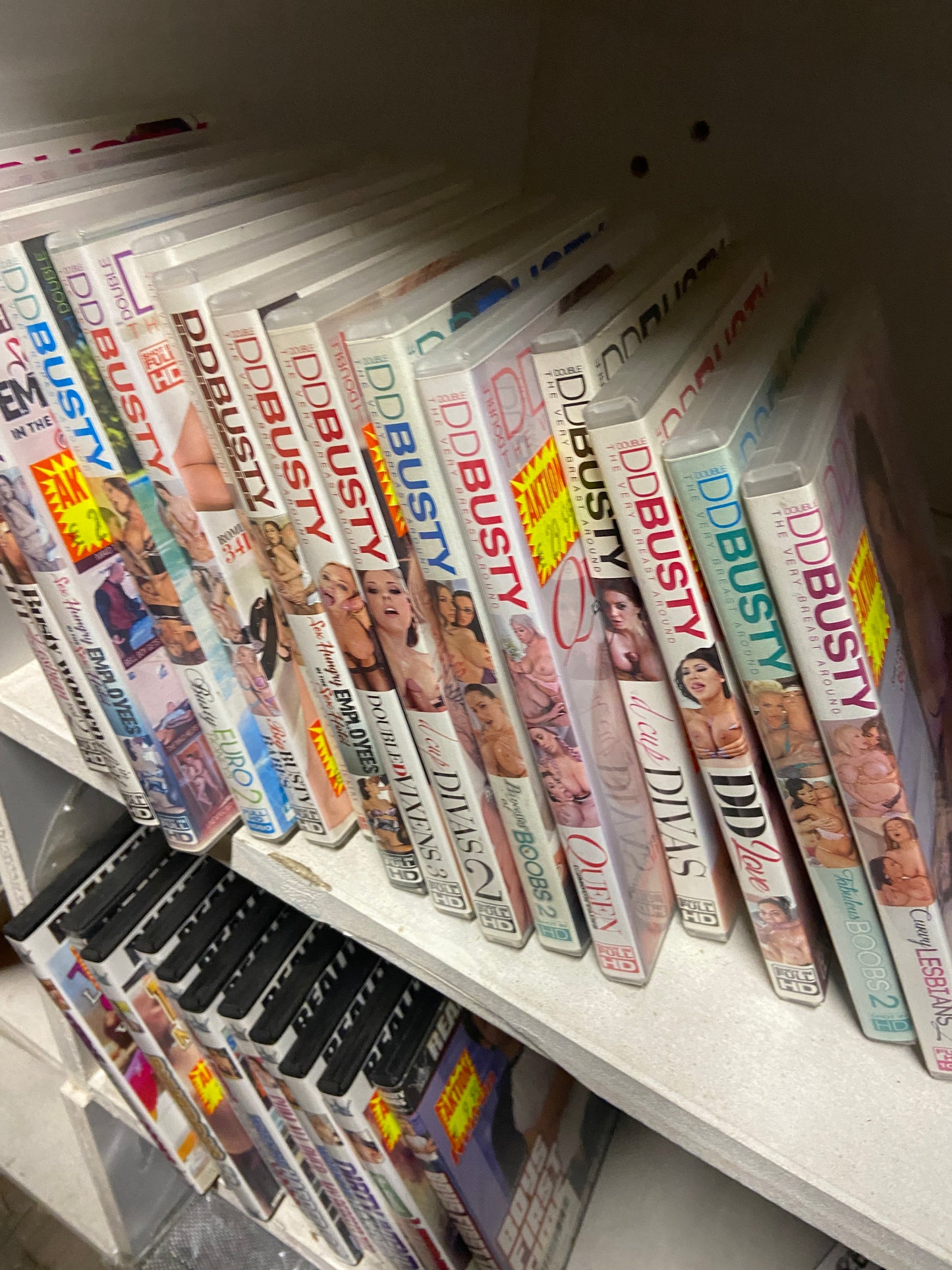 Dvd DD Busty 15 Titles Pack with price sticker