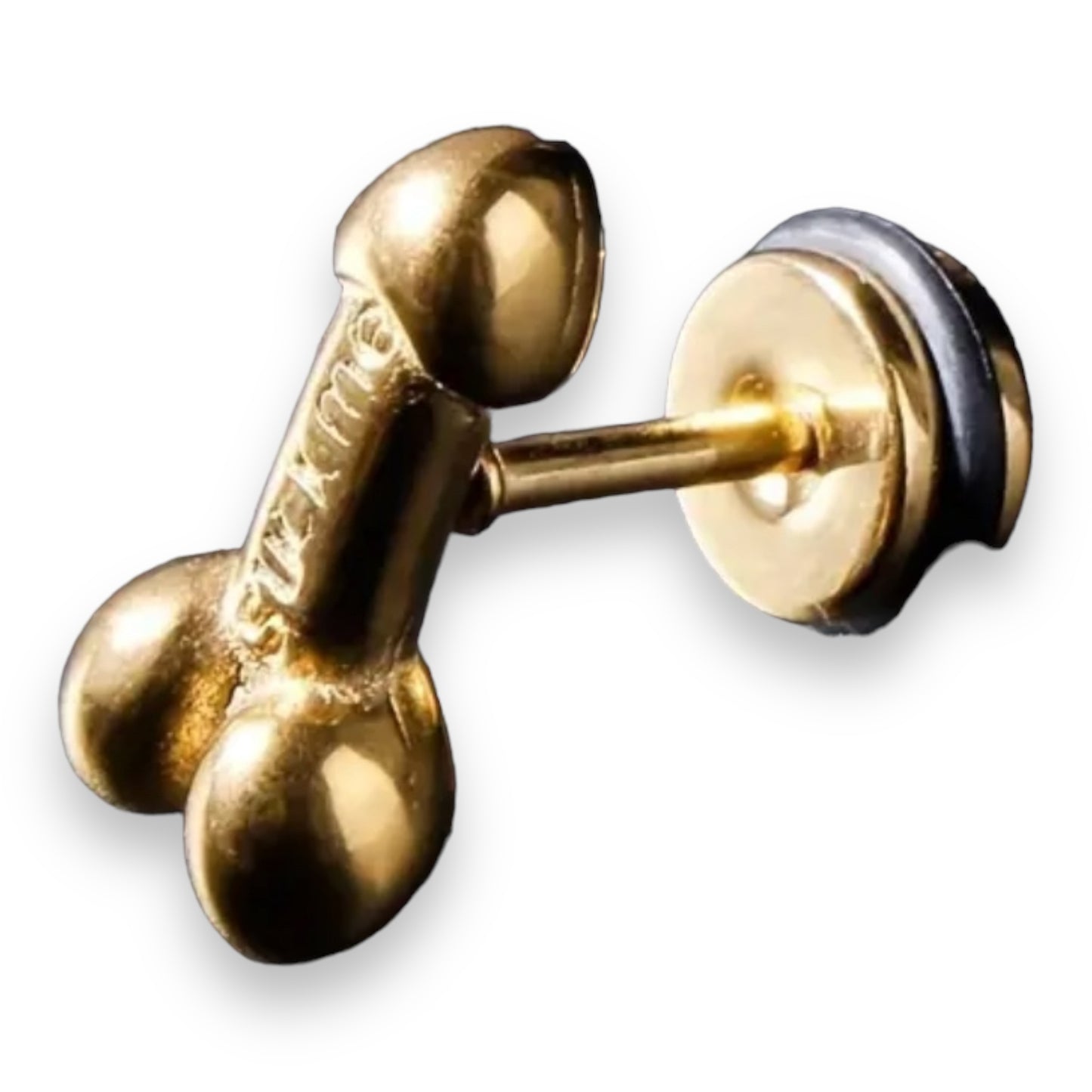 Kinky Pleasure - T109 - Earrings - Penis Suck Me! Fuck Me! - 3 Colours