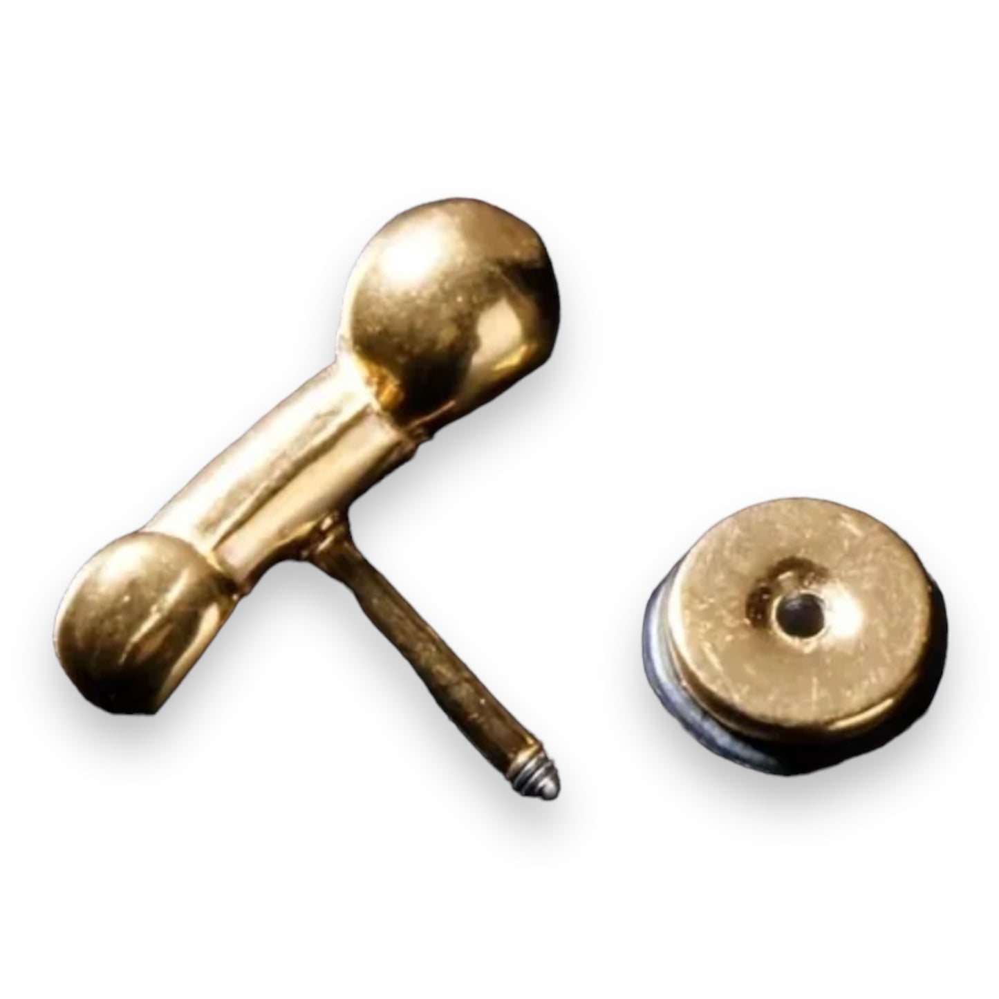 Kinky Pleasure - T109 - Earrings - Penis Suck Me! Fuck Me! - 3 Colours