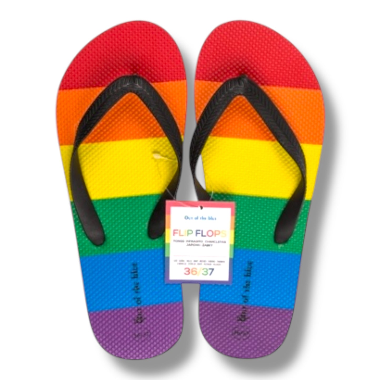 Kinky Pleasure - OB149 - Pride Rainbow Flip Flops