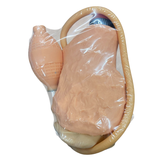Pocket Pussy Vibrating Flesh Masturbator with Hand Pump | Realistic Feel | Colour Box - Club