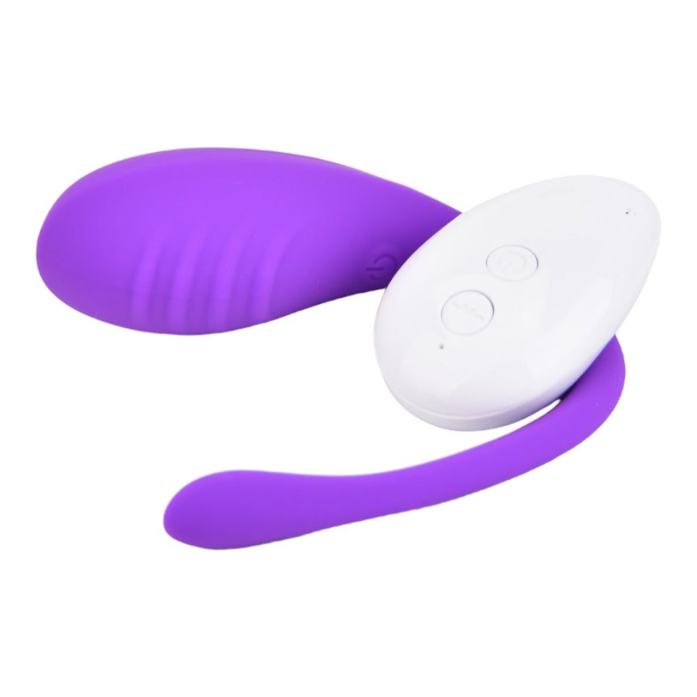 Remote Control Vibrating Love Egg - USB - Purple - N12022