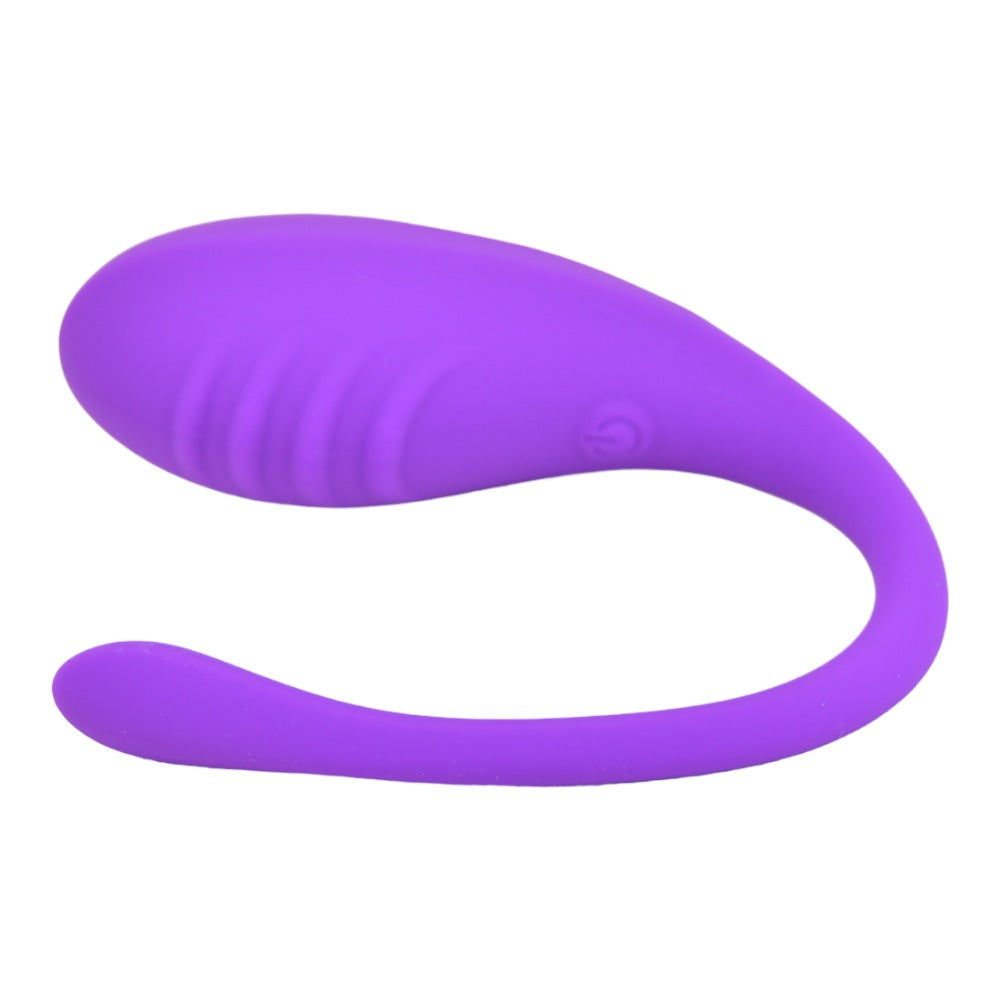 Remote Control Vibrating Love Egg - USB - Purple - N12022