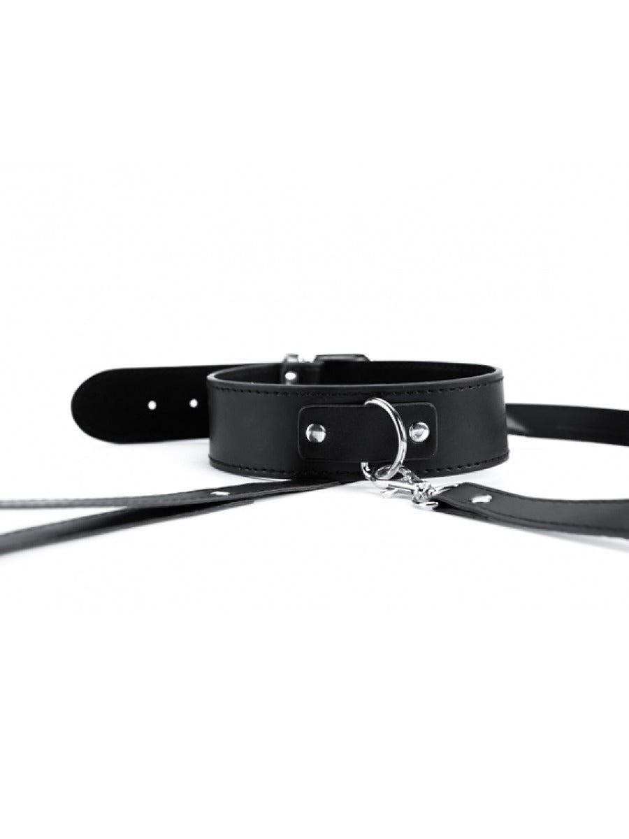 Argus Black Collar and Leash - AF 001013