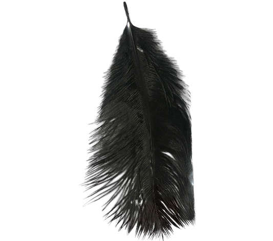 Power Escorts - BR321 Black Feather Tickler - BDSM - Plastic Bag with Euro Hang Tab