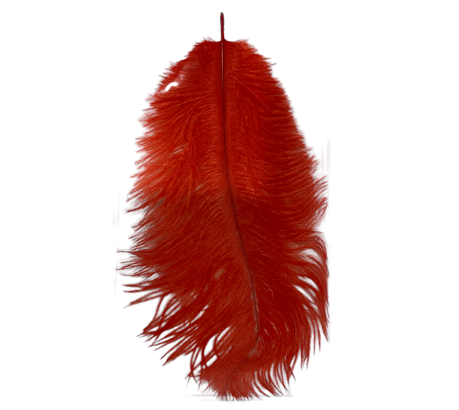 Power Escorts - BR321 Red Feather Tickler - BDSM - Plastic Bag with Euro Hang Tab
