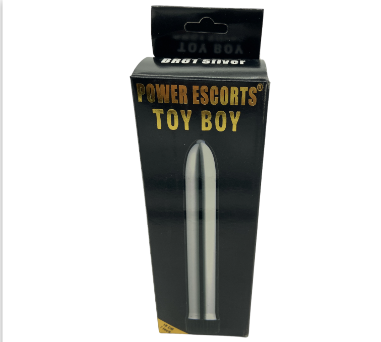 Power Escorts Toy Boy Classic Vibrator - 18 CM - Silver - BR61