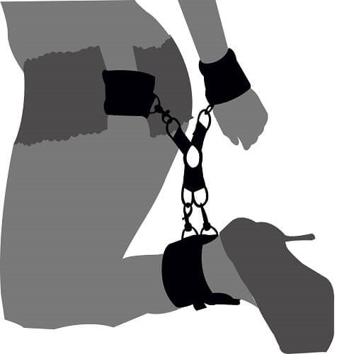 Loving Joy - Hog Tie Set - Bondage Box - N10451