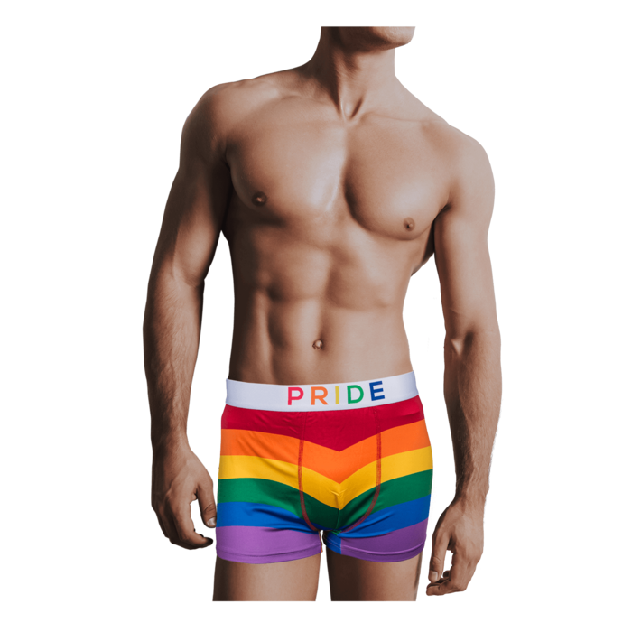 Kinky Pleasure - OB107 - Pride Underwear - Available in 3 Sizes
