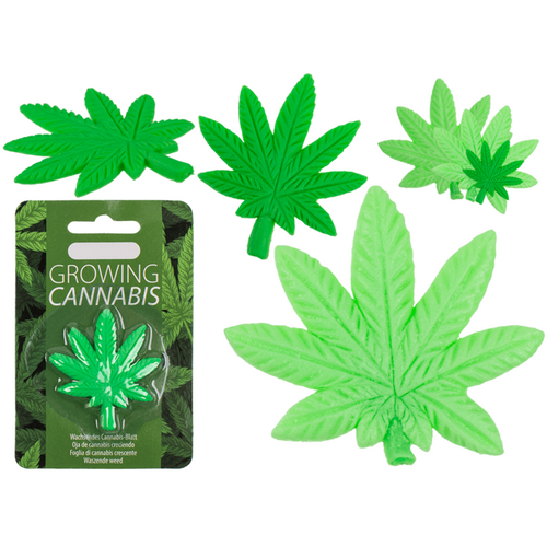 Timmy Toys - B006 - Growing Canabis In Water - 5x5cm - 1 Piece