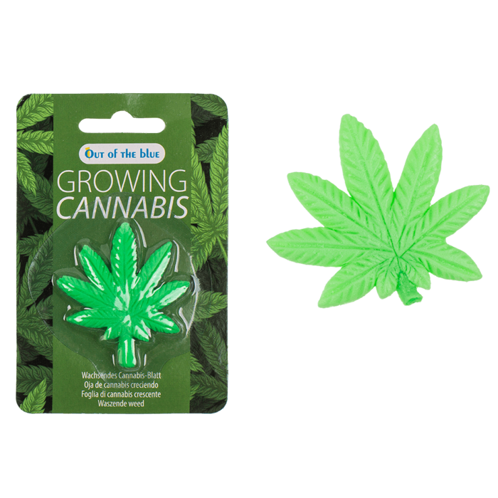 Timmy Toys - B006 - Growing Canabis In Water - 5x5cm - 1 Piece