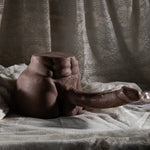 Tanned Body Masturbator with Large Penis 19 Cm – 2.7 kg Heavy Realistic Male Masturbator – Premium Adult Toy