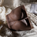 Tanned Body Masturbator with Large Penis 19 Cm – 2.7 kg Heavy Realistic Male Masturbator – Premium Adult Toy