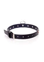 Boysoftoys - 33-00121 - Fetish Collar Red with stones - 2 cm width - Red line adjustable - easy to hang - with product tag /barcode