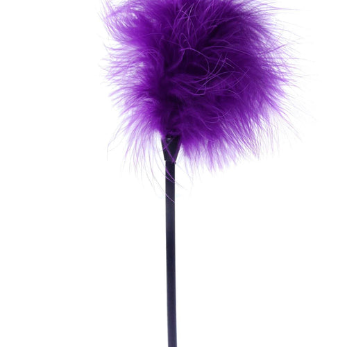 Boysoftoys - 61-00030 - Feather Tickler - Fetish Power - Purple - Colour Packing