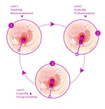 Foxshow - 63-00044 - Kegel ball 3 Pack set - 7,9 cm / 7,4 cm / 4,7 cm - Purple  - Geisha ball set