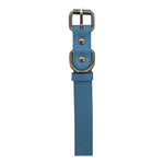Collar - Blue - BDSM - Diameter 17 CM - Length 55 CM - Width 2 CM