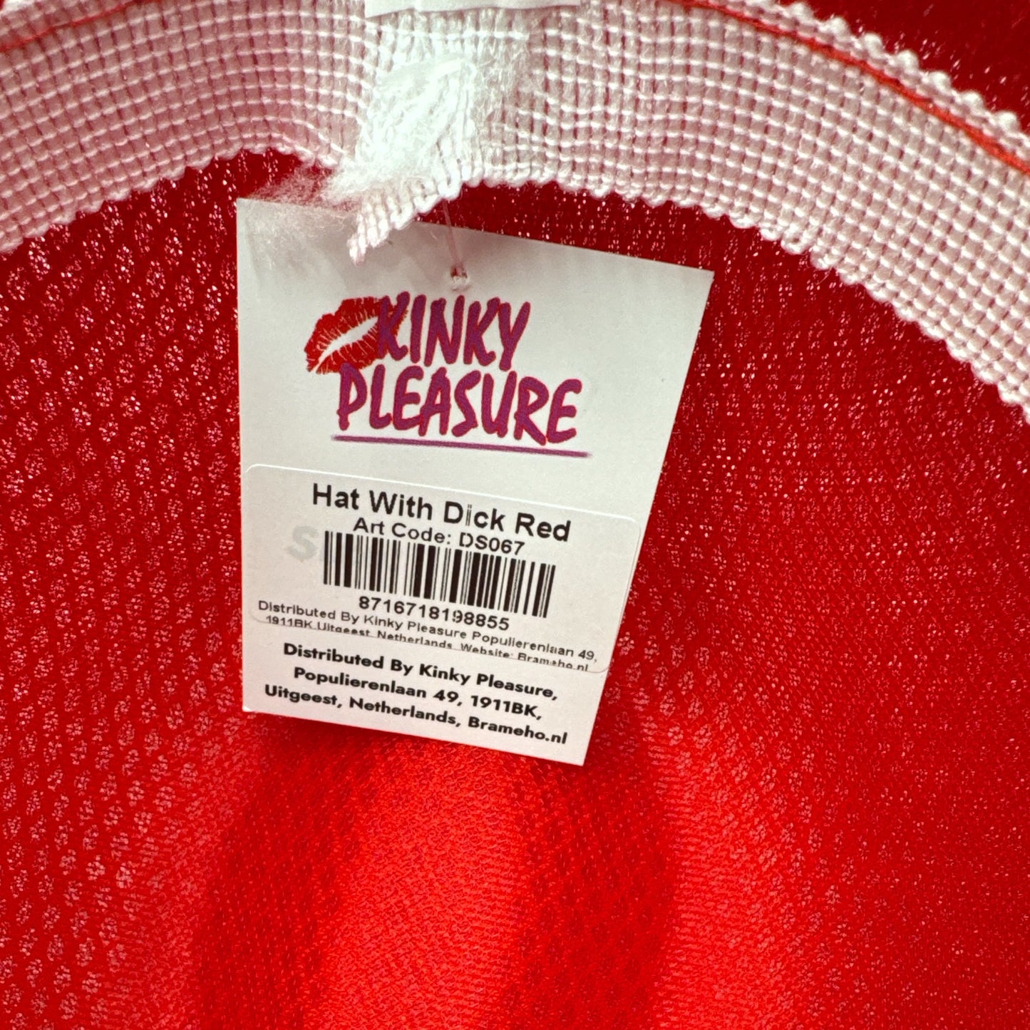 Kinky Pleasure - DS067 - Penis Party Hat – Red Fedora with Plush Willy