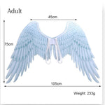 Kinky Pleasure  - AX095 - Angel Wings - 105x75x45 - 233gr - 5 Colours