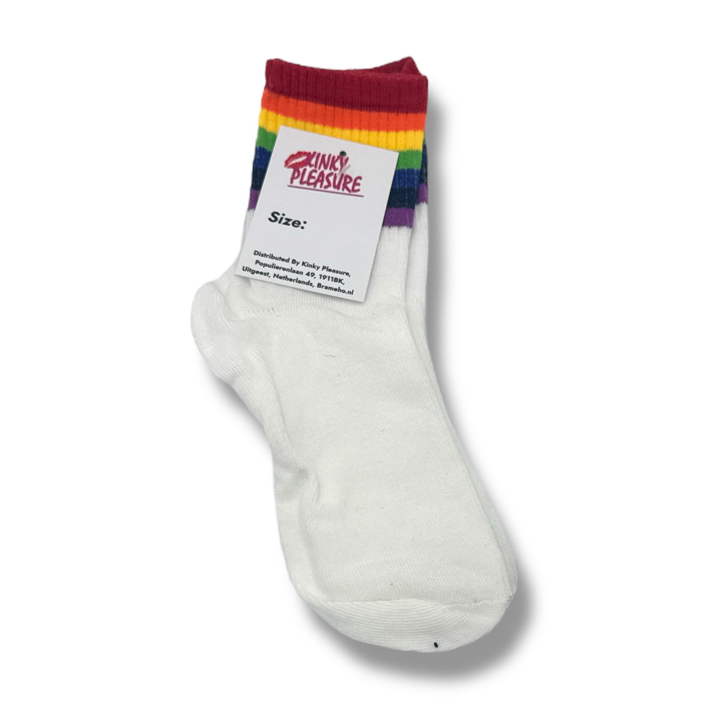 Kinky Pleasure - T210 - Socks Rainbow – 6 Pair