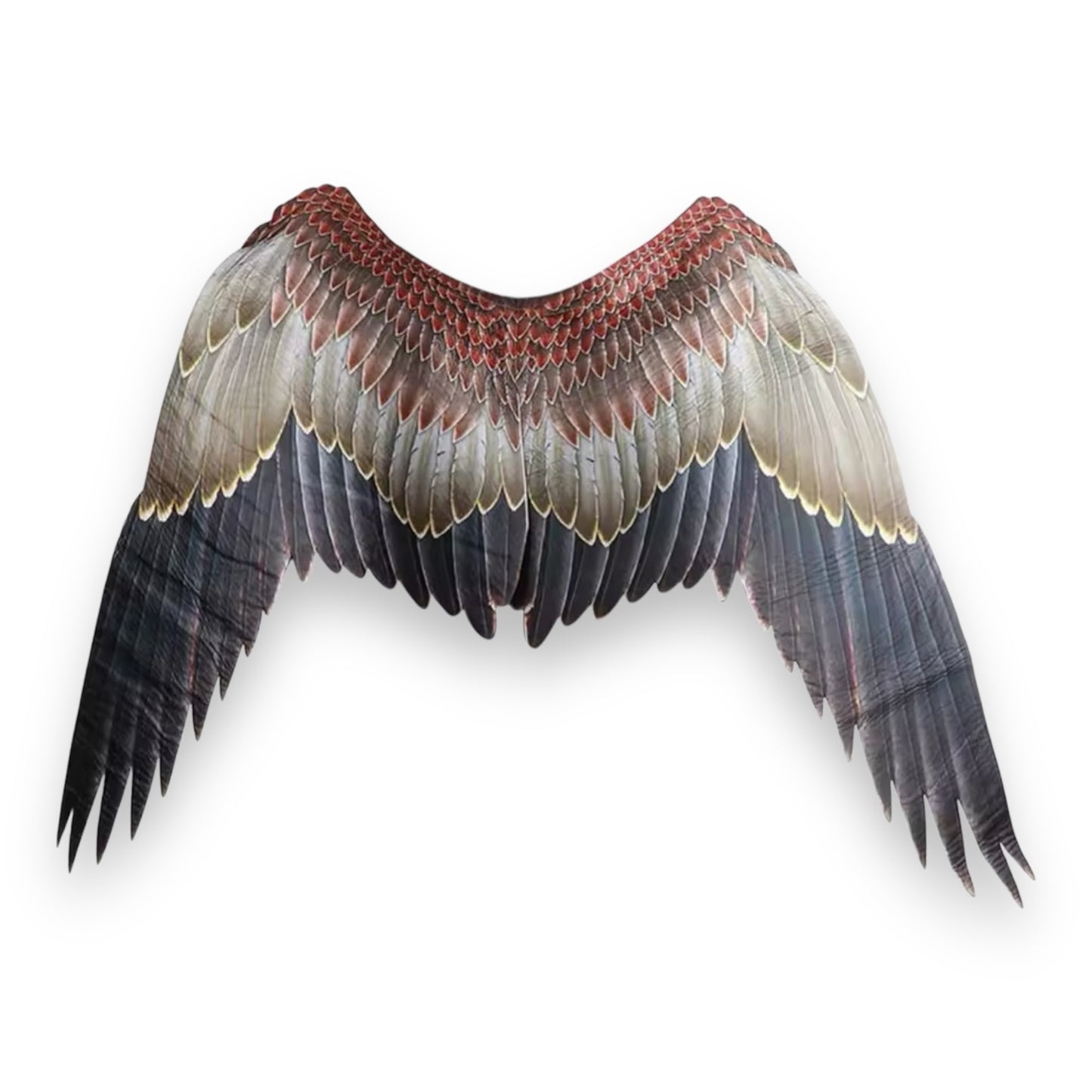 Kinky Pleasure  - AX095 - Angel Wings - 105x75x45 - 233gr - 2 Colours