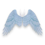 Kinky Pleasure  - AX095 - Angel Wings - 105x75x45 - 233gr - 5 Colours