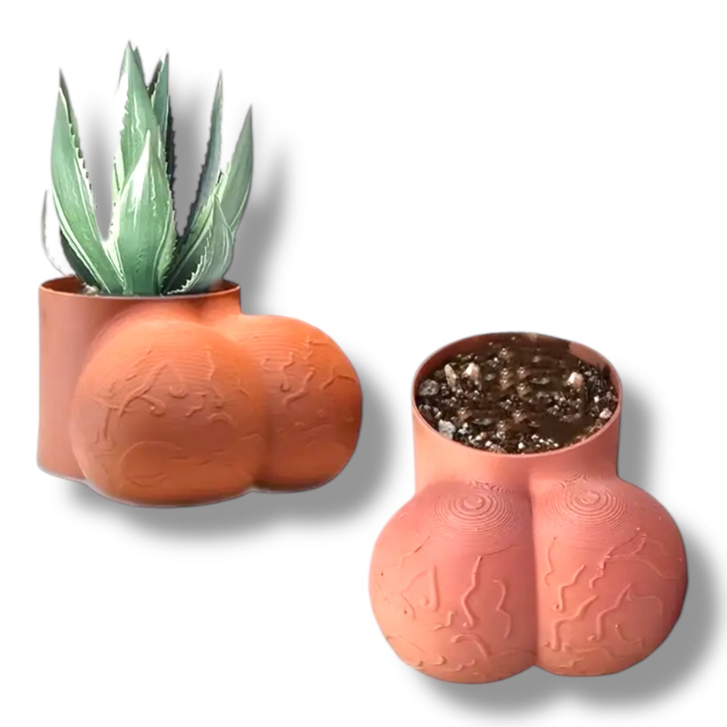 Kinky Pleasure - T182 - Balls For Plant Vase - 8x14cm