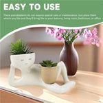 Kinky Pleasure - T183 - Lazy Flower Pot - 24cm