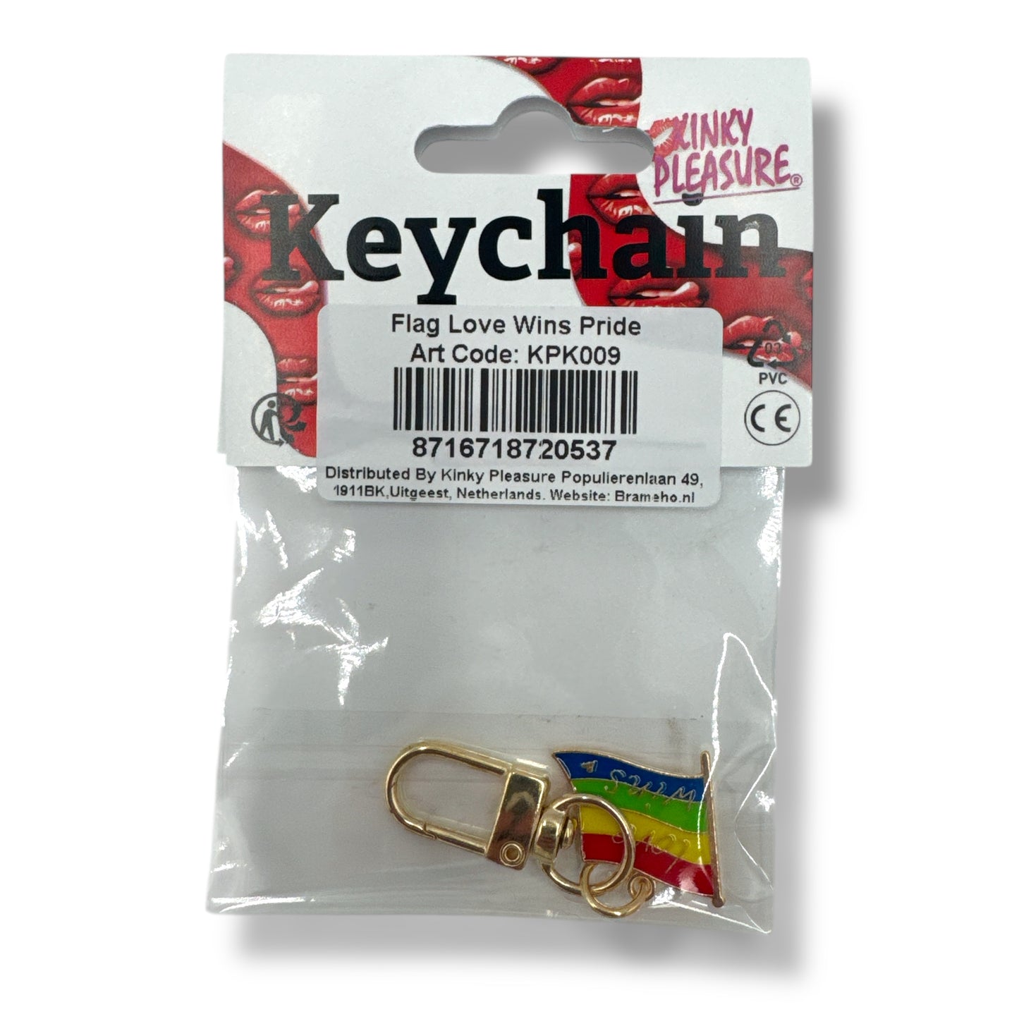 Kinky Pleasure - KPK009 - Keychain - Flag Love Wins Pride