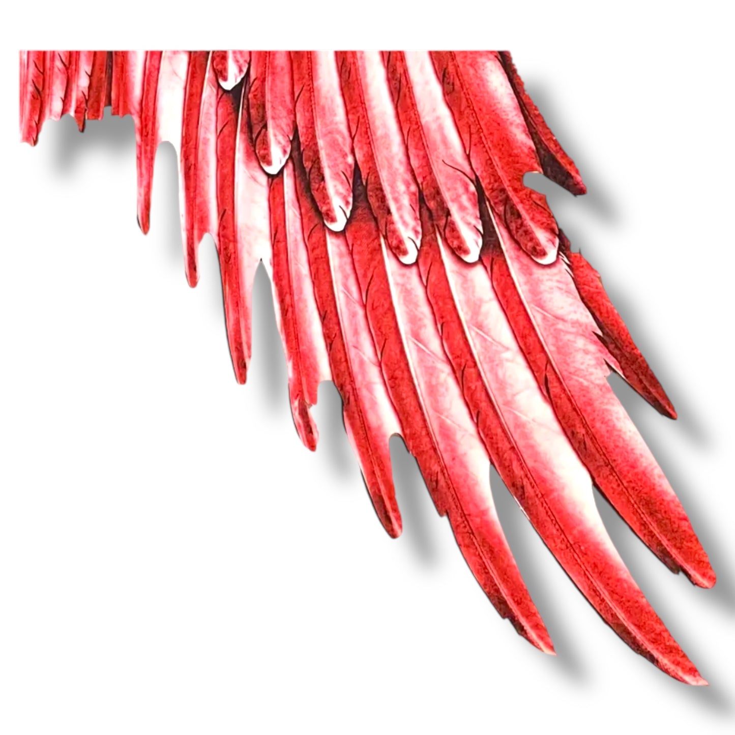 Kinky Pleasure  - AX095 - Angel Wings - 105x75x45 - 233gr - 5 Colours