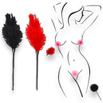 Power Escorts - BR198 Black Luxury Feather Tickler - BDSM - Colour Box