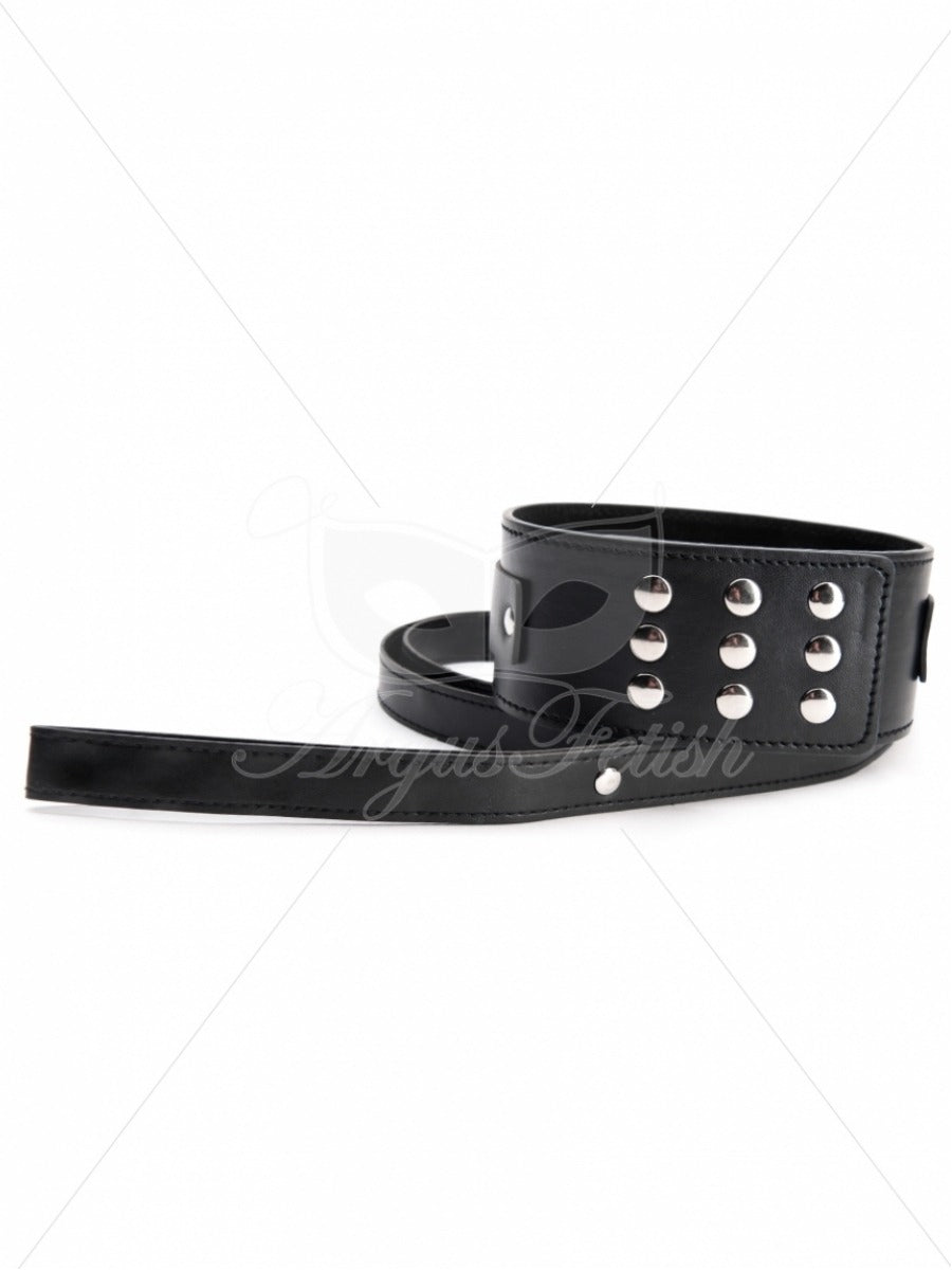 Argus Large Collar with Leash - AF 001020