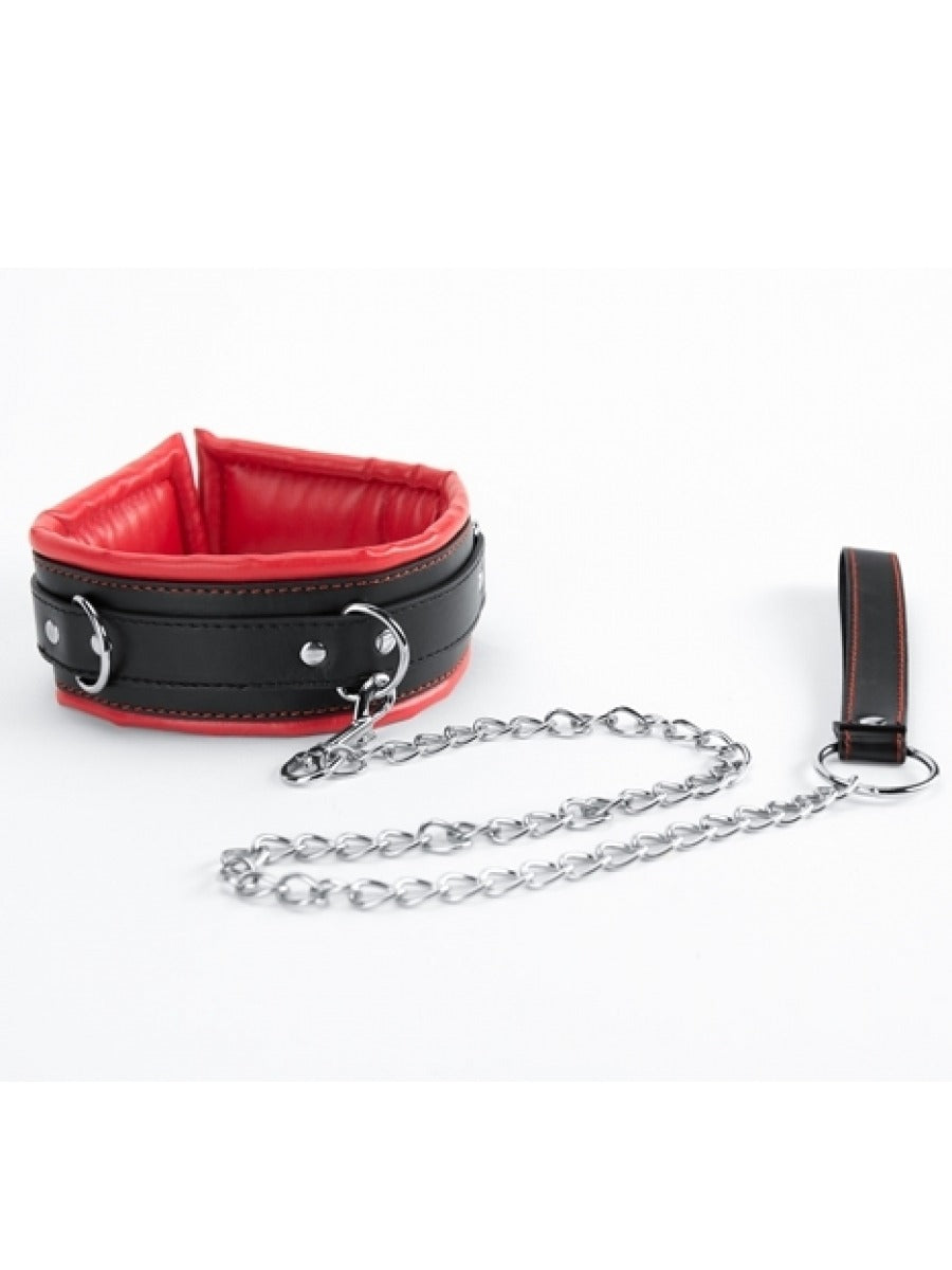 Argus Red Collar and Leash - AF 001012