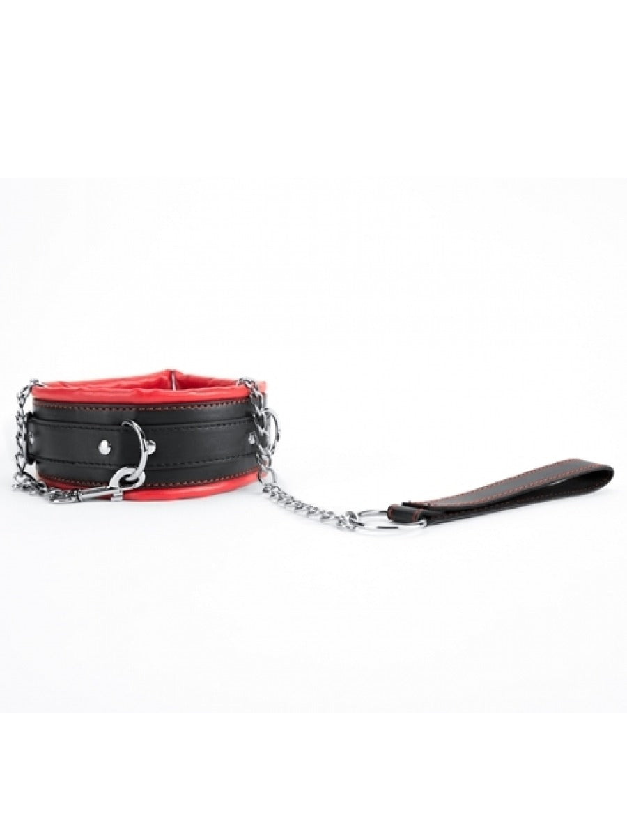 Argus Red Collar and Leash - AF 001012