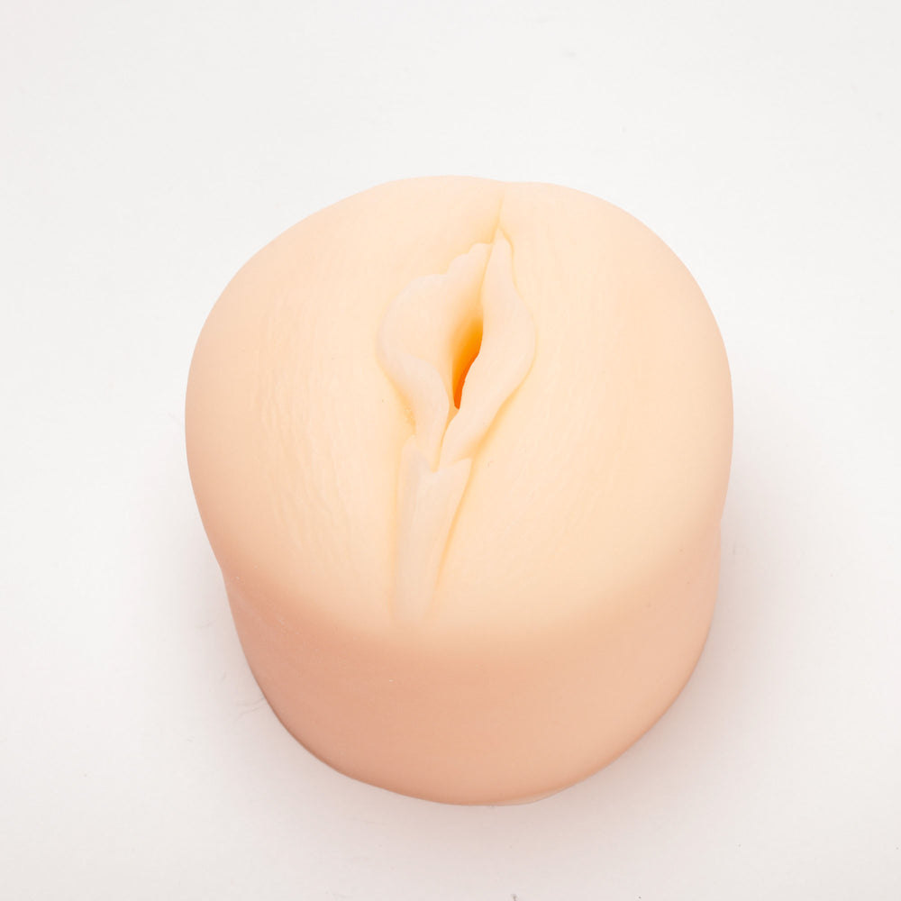 Pussy Penis Pump Attachment in Colour Box