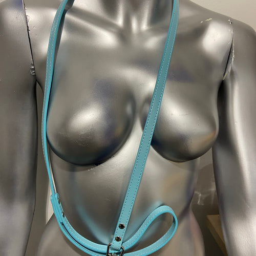 Luxury Leash Blue - BDSM - Heavy Quality  ( no Collar only Leash )