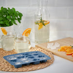 Kinky Pleasure - I005 - Ice Block Makers - 2 Models