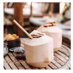 Timmy Toys - KRO005 - Bamboe Straws - 10pcs - 20cm - Dia 10mm - 1 Piece