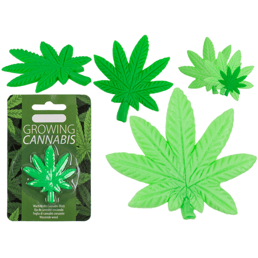 Timmy Toys  - B006 - Growing Canabis In Water - 5x5cm - 1 Piece