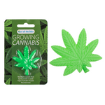 Timmy Toys  - B006 - Growing Canabis In Water - 5x5cm - 1 Piece