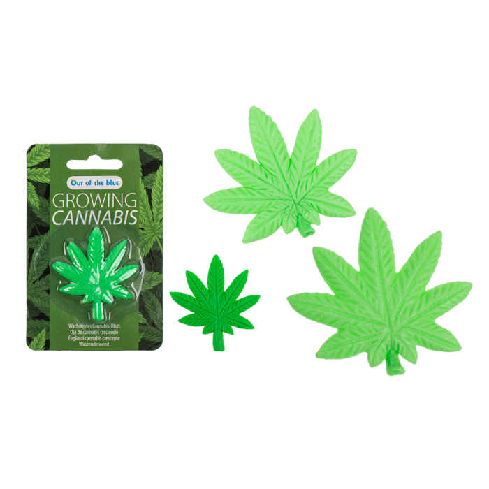 Timmy Toys  - B006 - Growing Canabis In Water - 5x5cm - 1 Piece